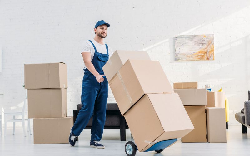 packers movers zirakpur